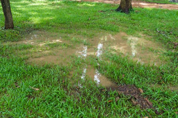 Cost of Storm Water Drainage Service in Matthews