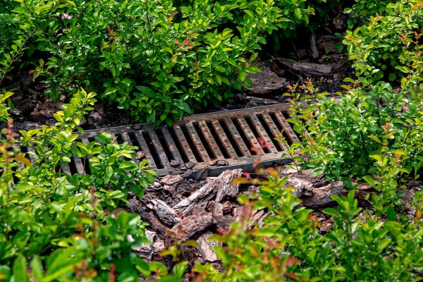 Cost of Underground Drainage Service in Matthews