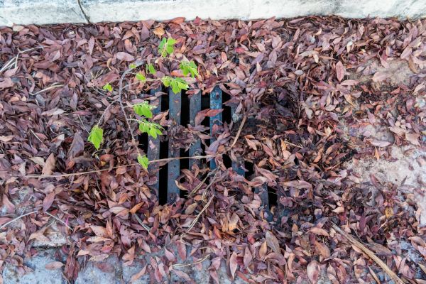 Cost of Yard Drain Unclogging in Matthews