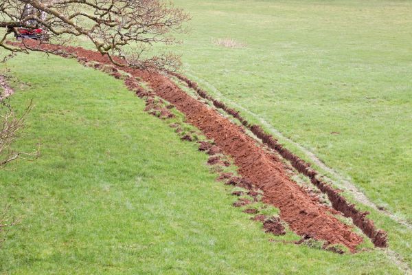 Cost of Swale Installation in Matthews