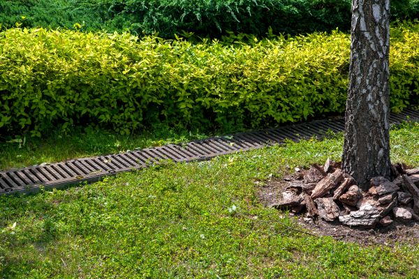 Cost of Residential Landscape Drainage in Matthews