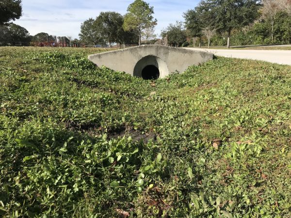 Cost of Swale Drainage Service in Matthews
